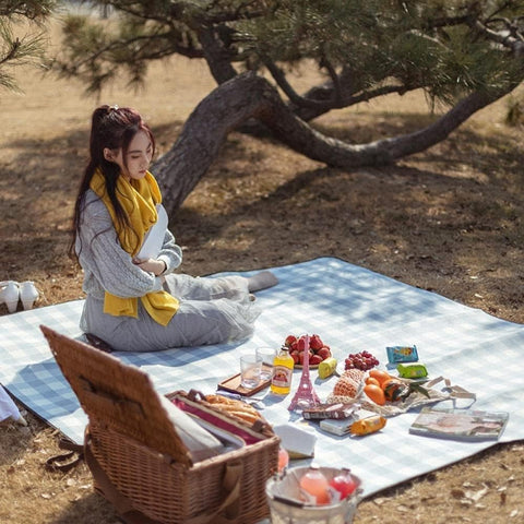 Picnic Mat (Blue)